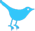 Twitter Blue Bird